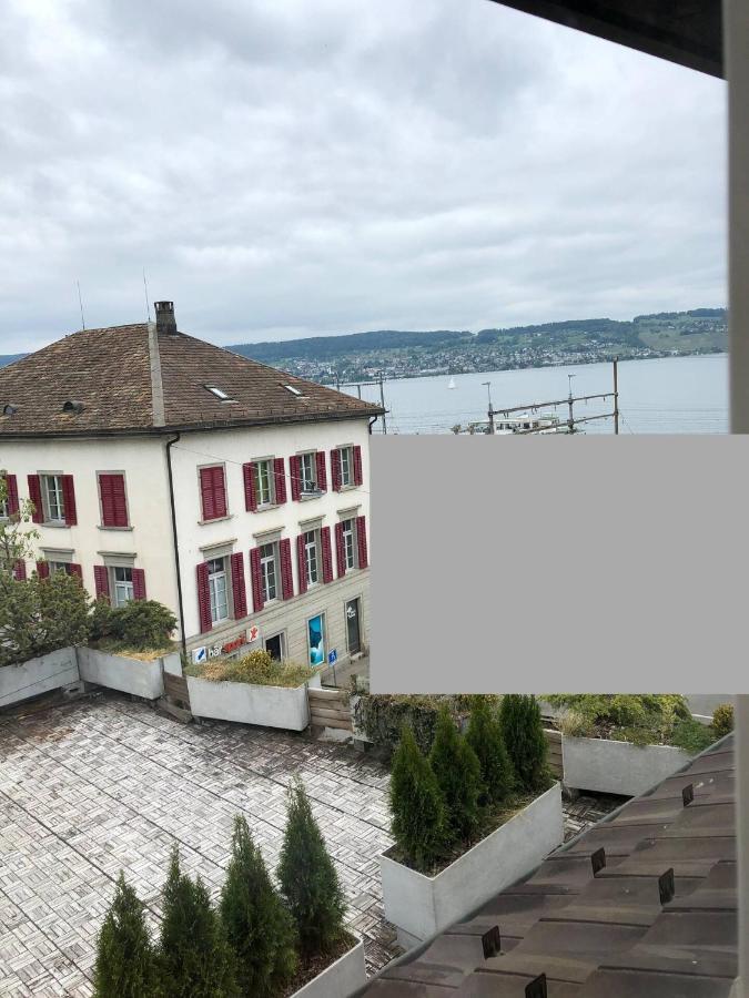 Wadenswil 3 Zimmer Wohnung Genau Beim Zurichsee Luaran gambar