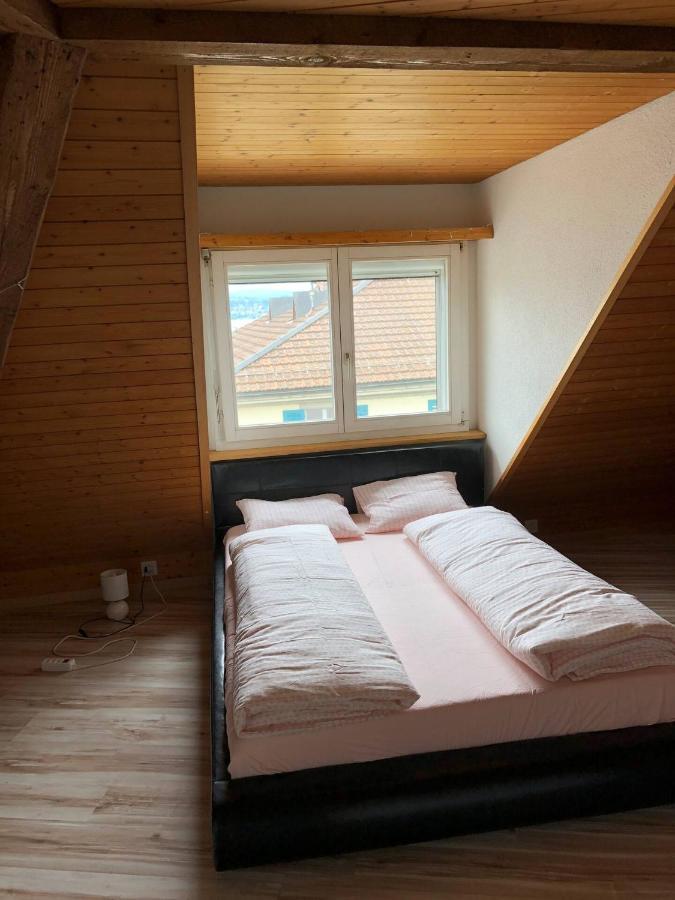 Wadenswil 3 Zimmer Wohnung Genau Beim Zurichsee Luaran gambar